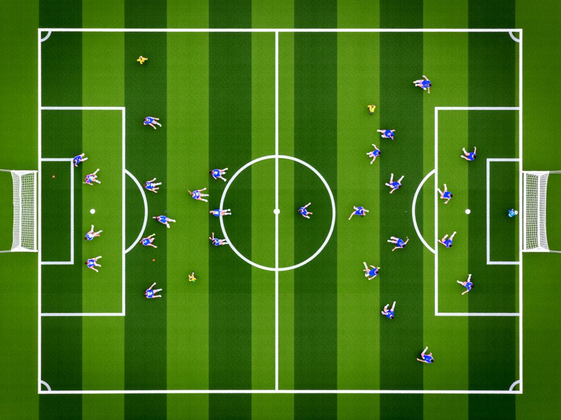 开云在线入口-体育医疗志愿队参加国家应急演练,体育展示颁奖应急预案 第2张