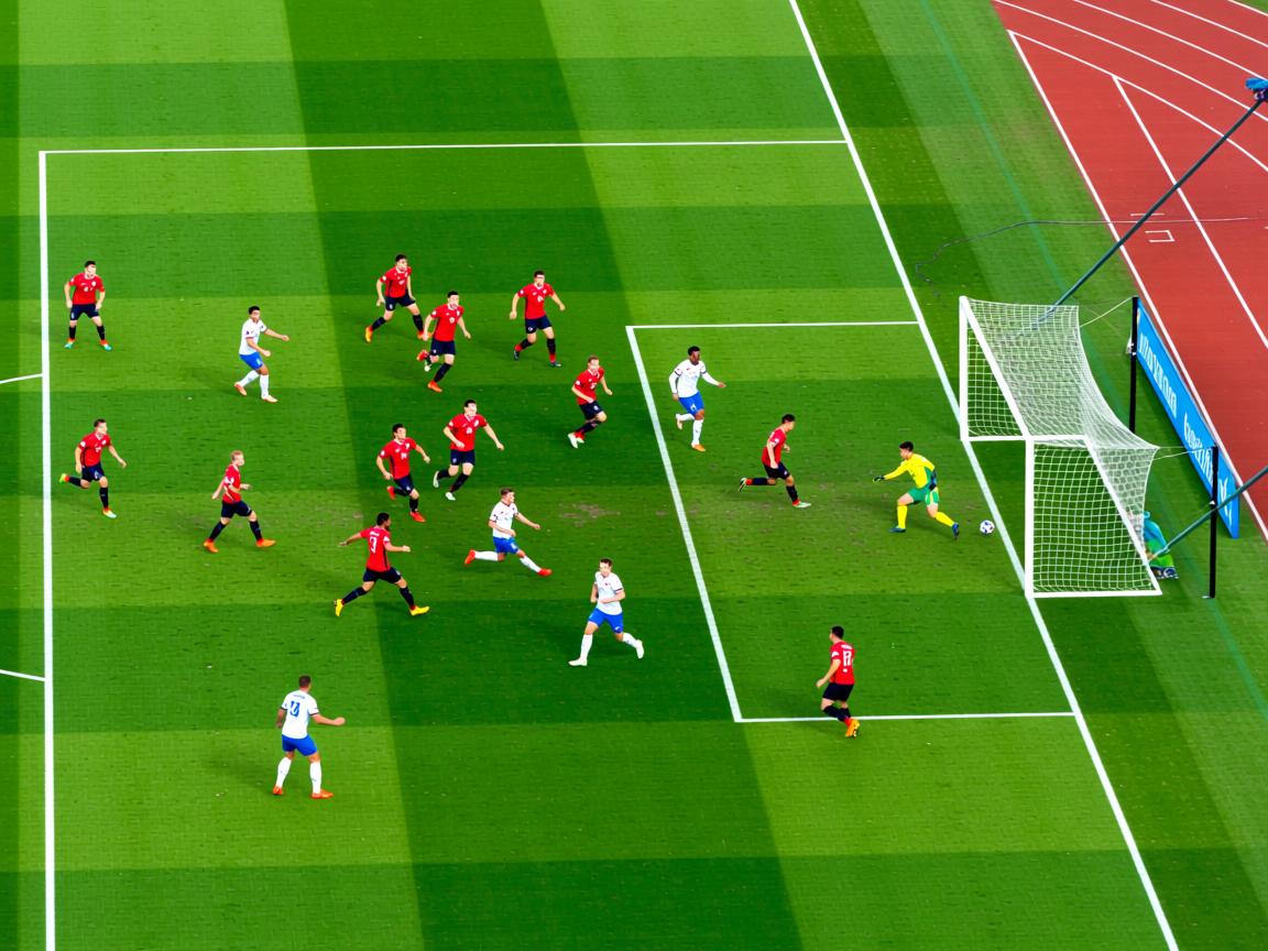 开云官网-冬奥训练团队扩展雪具研发合作领域，冬奥项目 雪橇